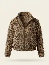 Leopardo